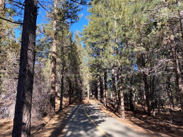 The Fox Paw Villa Big Bear Lake Luaran gambar